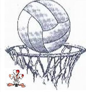 Mid%20Wales%20Netball%20Logo[1].JPG