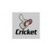 Cricket at Sri Lanka  (2012-05-08 08:00)